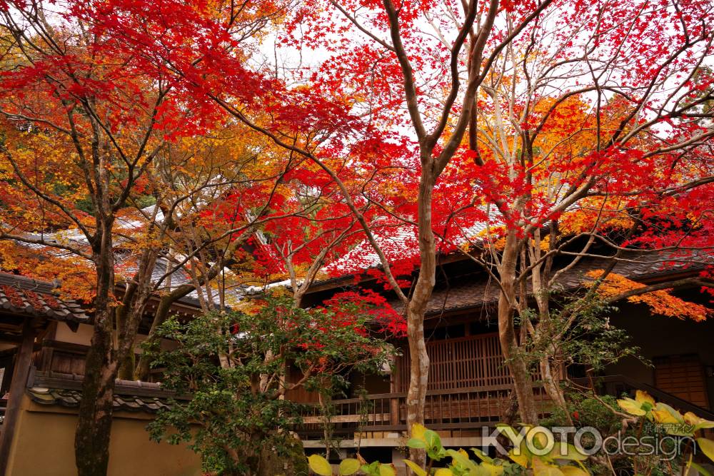 勝持寺の紅葉8