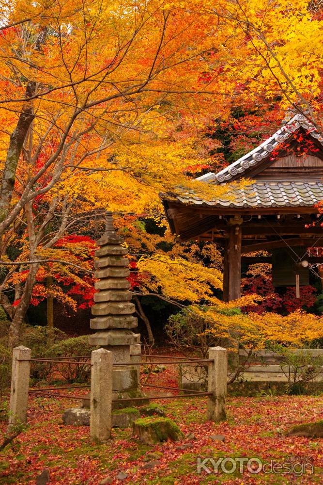 勝持寺の紅葉12