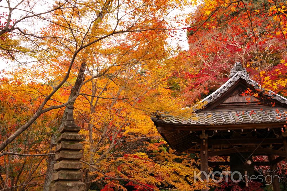 勝持寺の紅葉15