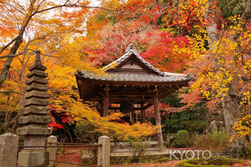 勝持寺の紅葉16