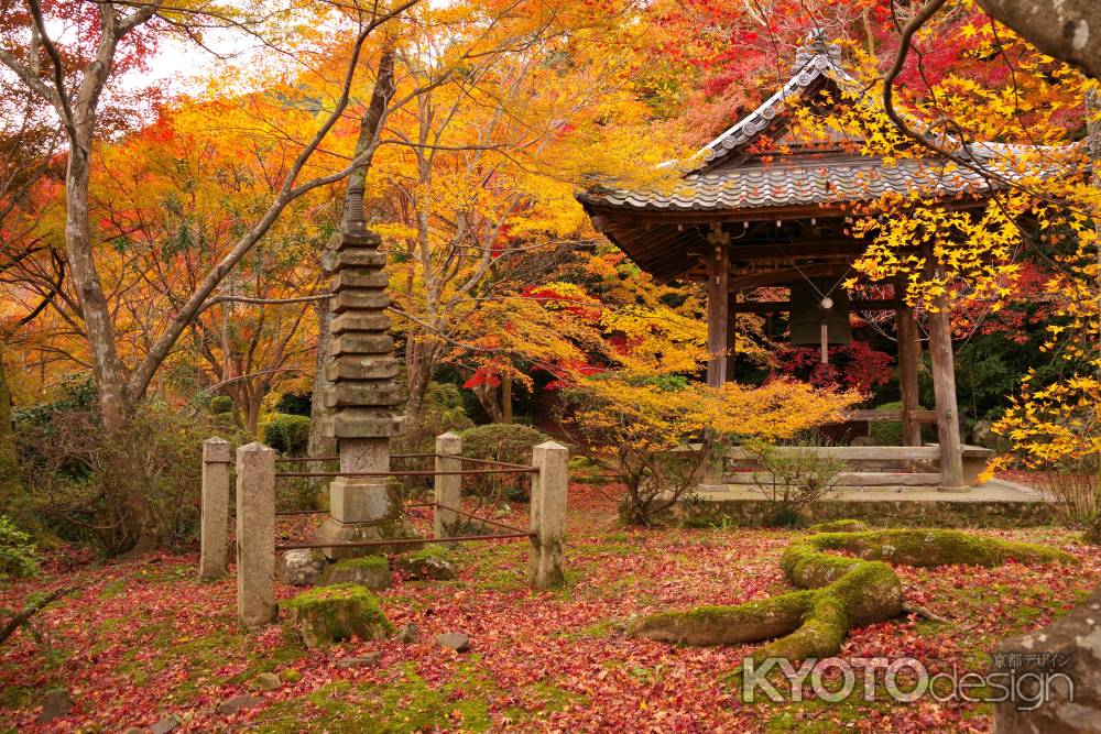 勝持寺の紅葉18