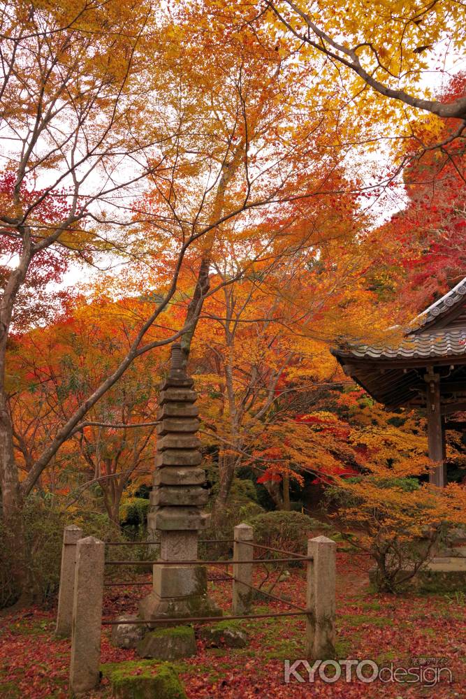 勝持寺の紅葉19