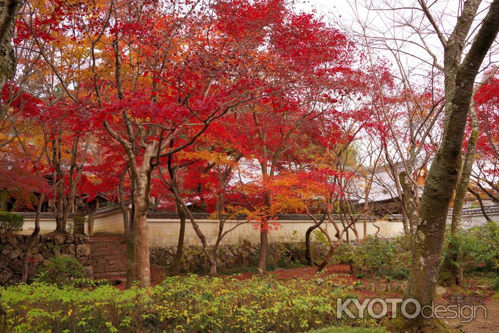 勝持寺の紅葉20