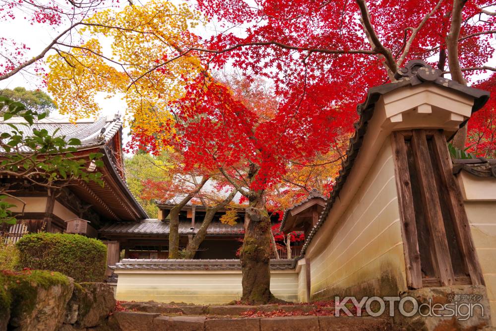 勝持寺の紅葉23