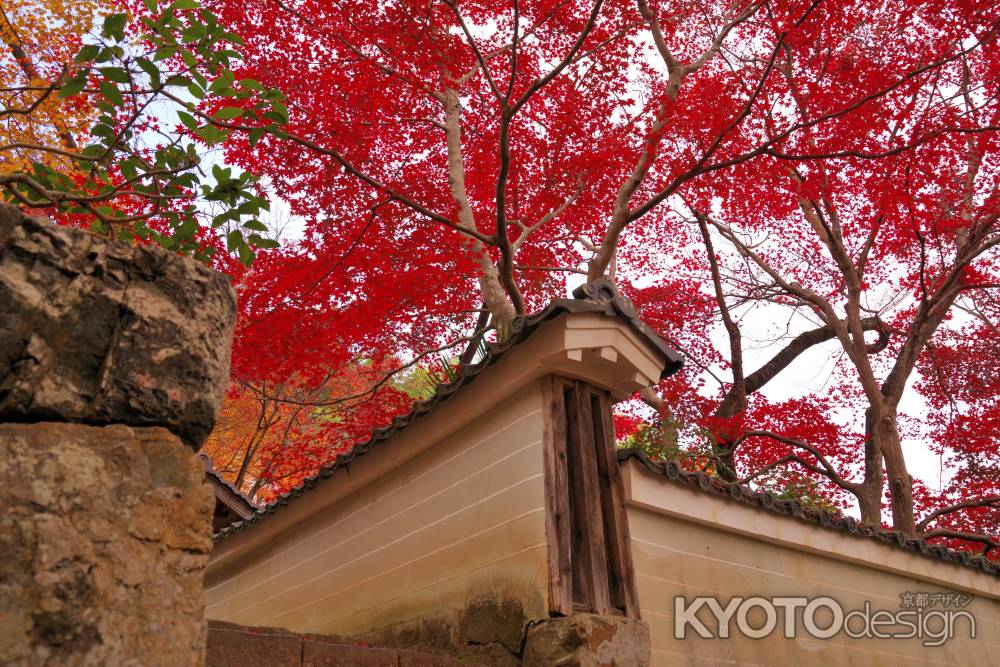 勝持寺の紅葉24