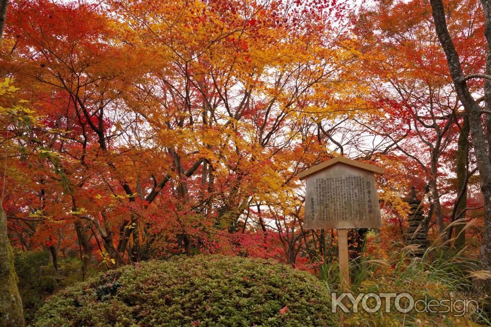 勝持寺の紅葉25