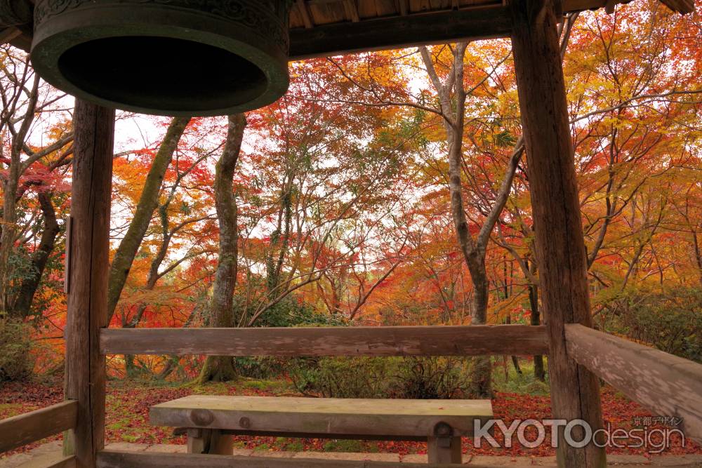 勝持寺の紅葉27