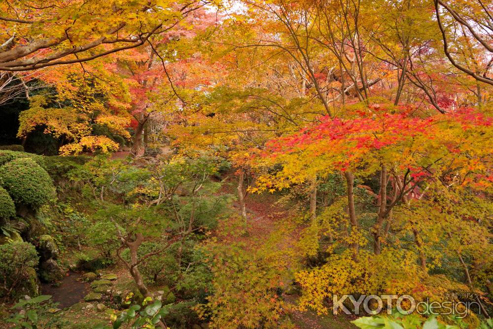 勝持寺の紅葉29