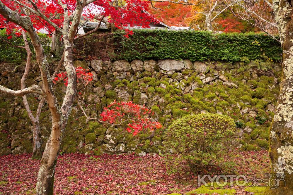 勝持寺の紅葉30