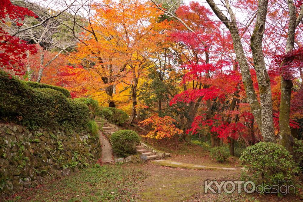 勝持寺の紅葉37