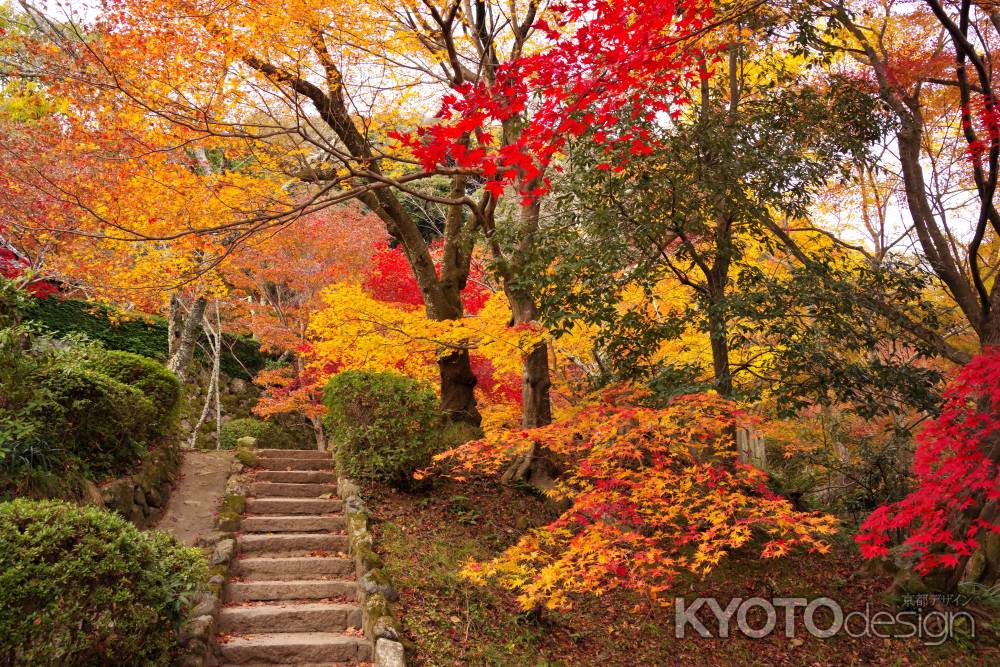 勝持寺の紅葉39