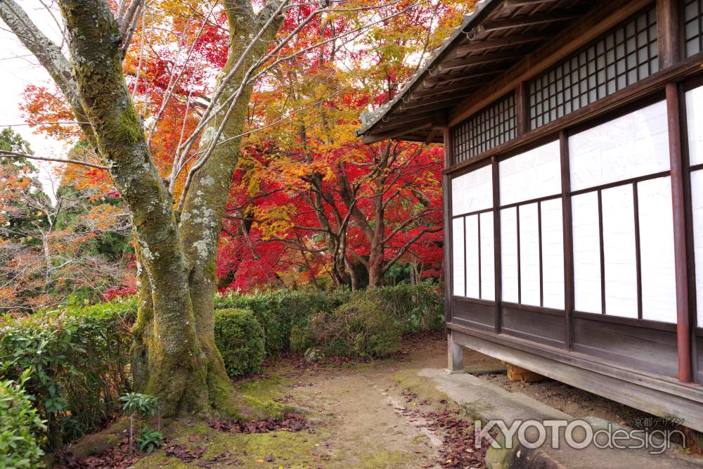 勝持寺の紅葉43