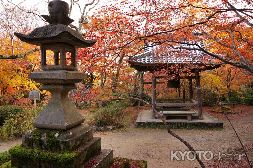 勝持寺の紅葉46