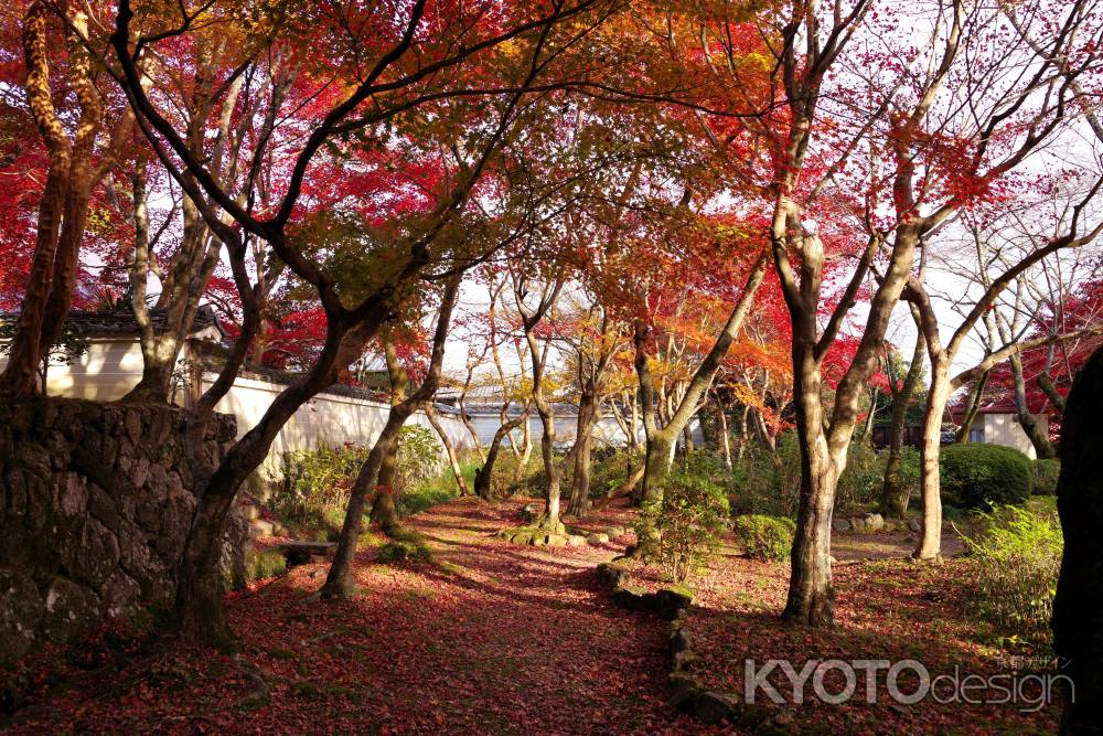 勝持寺の紅葉48