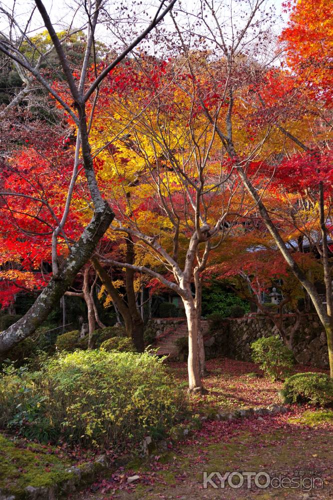 勝持寺の紅葉51