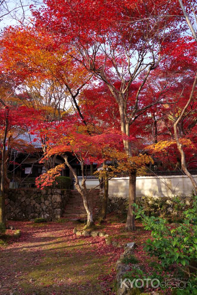 勝持寺の紅葉52