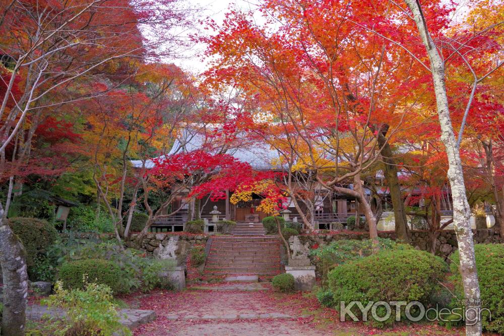 勝持寺の紅葉56