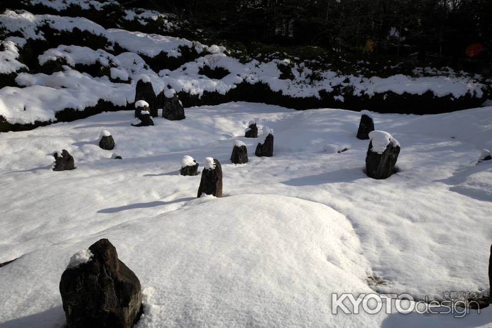 冬の光明院庭園