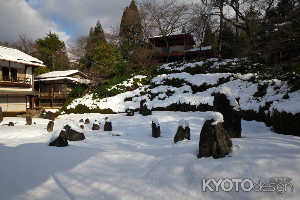 冬の光明院庭園