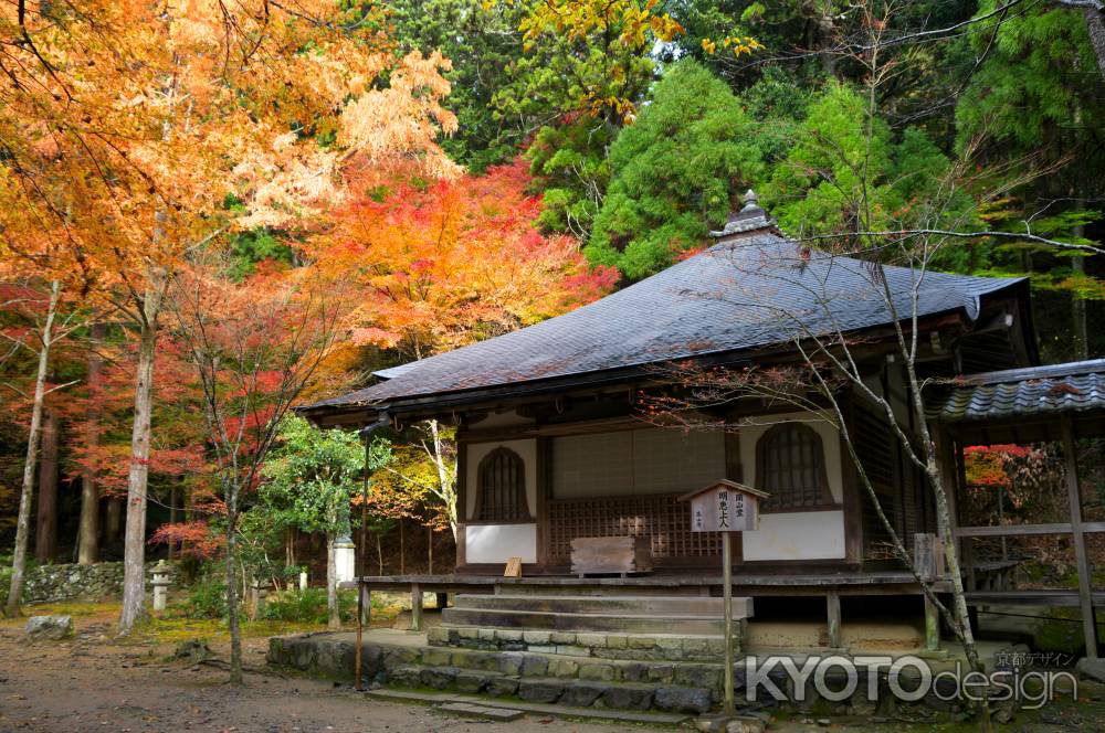 高山寺の紅葉2