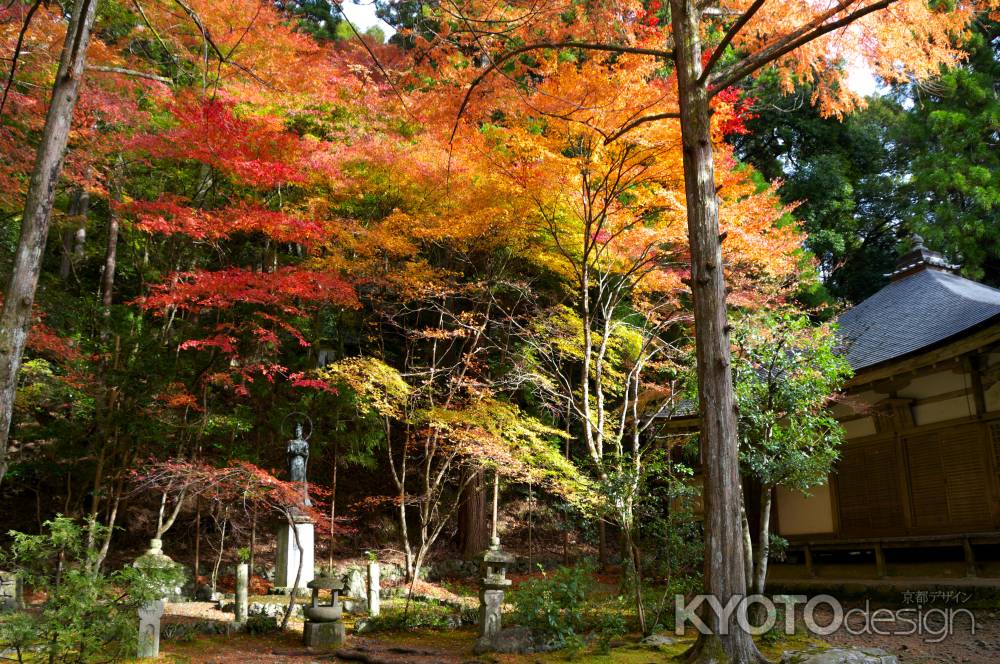 高山寺の紅葉3