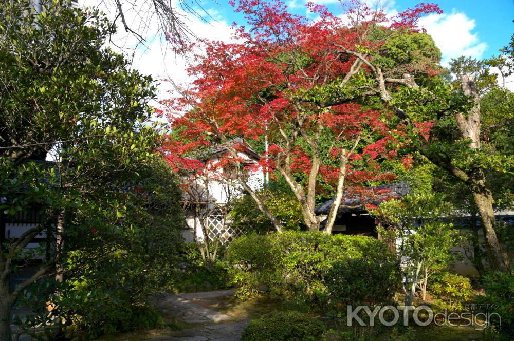 大法院の紅葉2