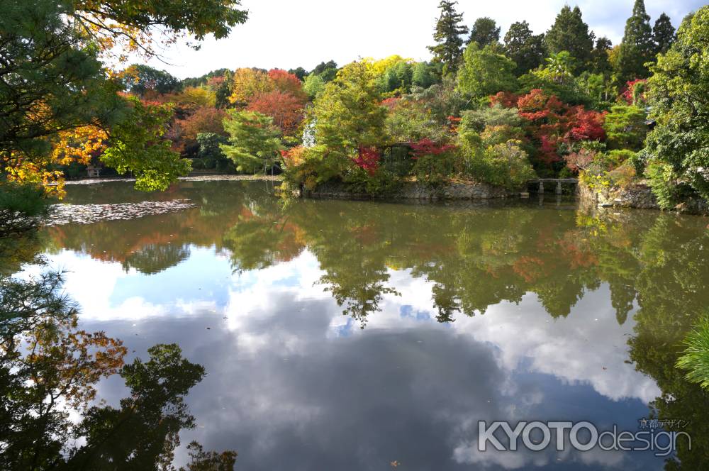 龍安寺鏡容池の紅葉3