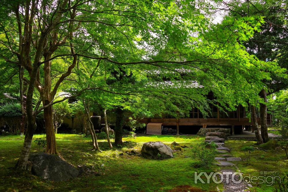 夏の栖賢寺