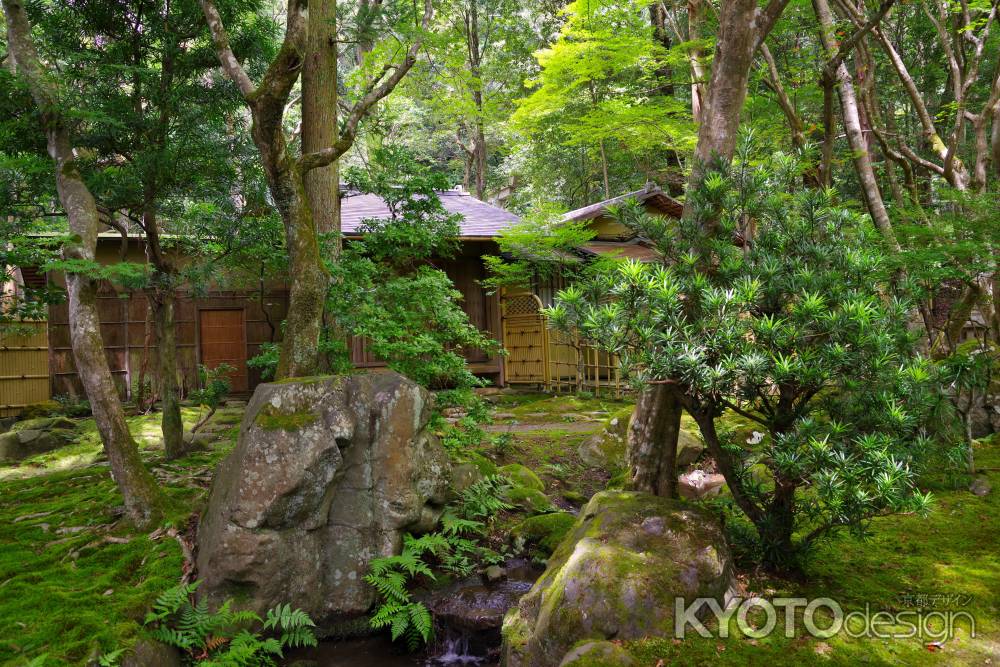 夏の栖賢寺2