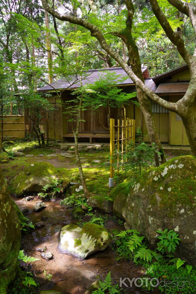 夏の栖賢寺3