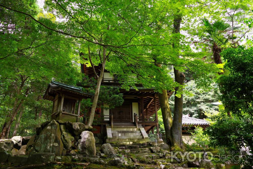 夏の栖賢寺5