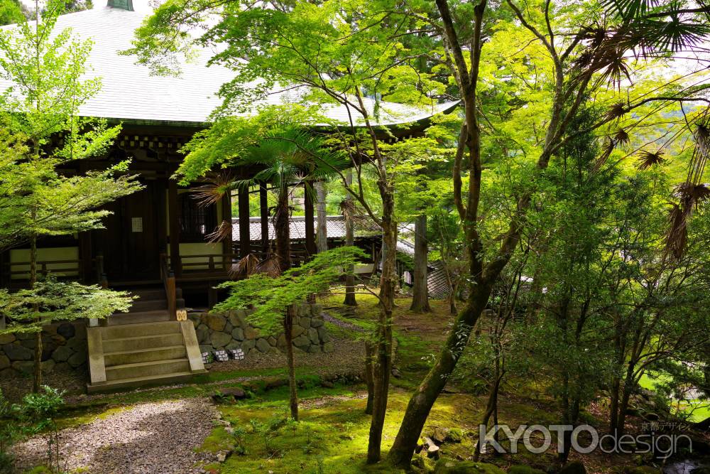 夏の栖賢寺6