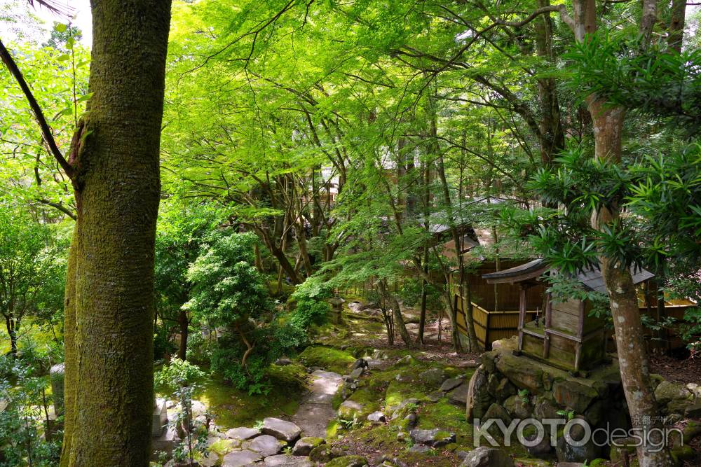 夏の栖賢寺7