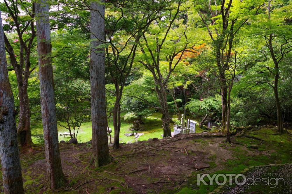 夏の栖賢寺8