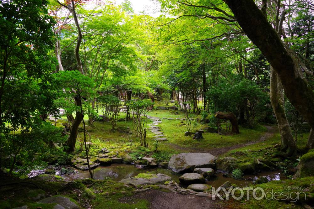 夏の栖賢寺10