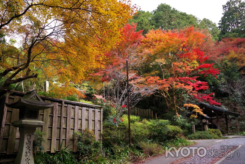 日向大神宮の紅葉