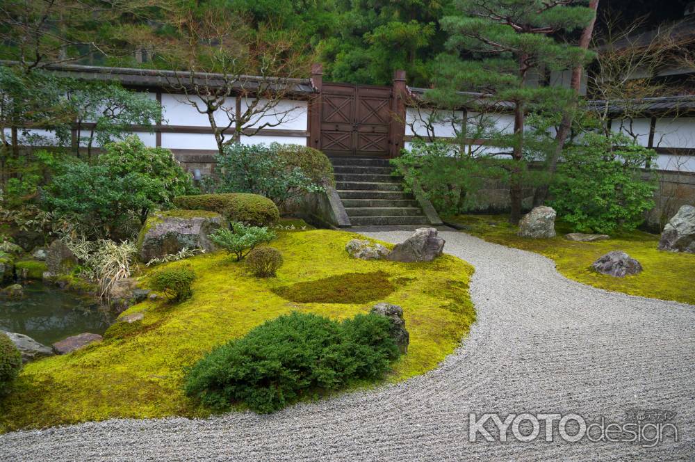 泉涌寺庭園6