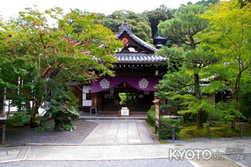 夏の永観堂の風景2