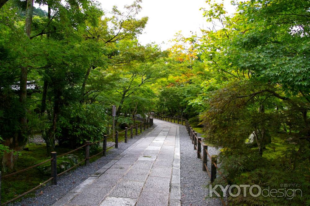 夏の永観堂の風景3