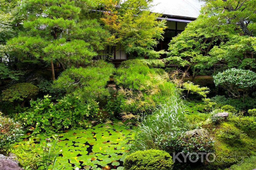 夏の永観堂の風景6