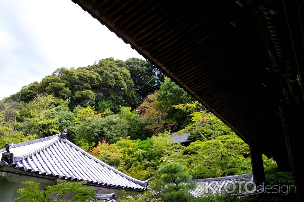 夏の永観堂の風景10