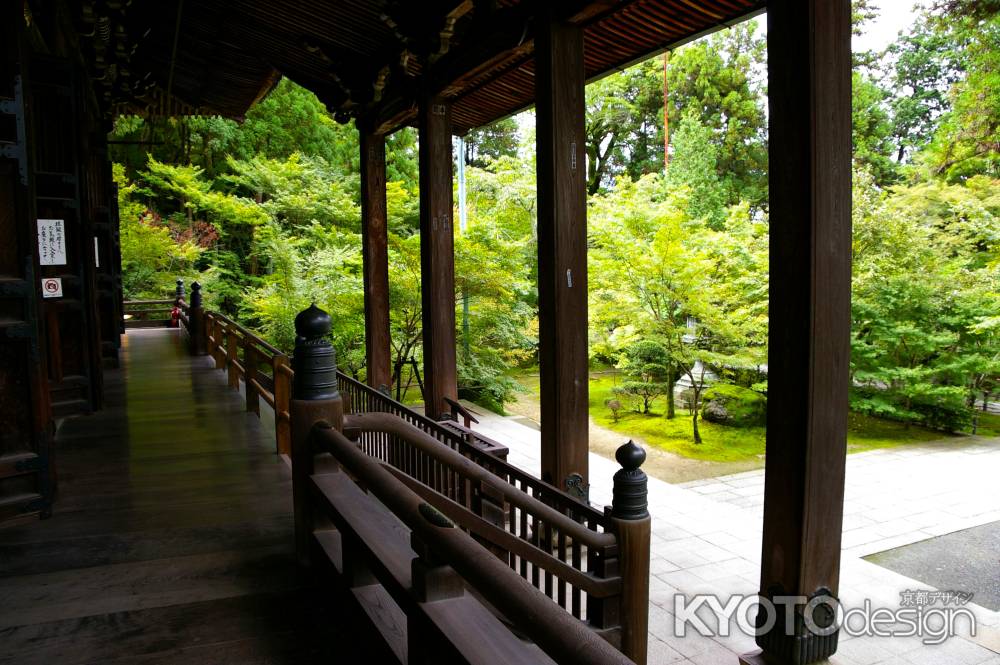 夏の永観堂の風景11