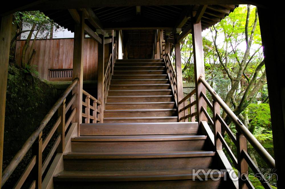 夏の永観堂の風景14