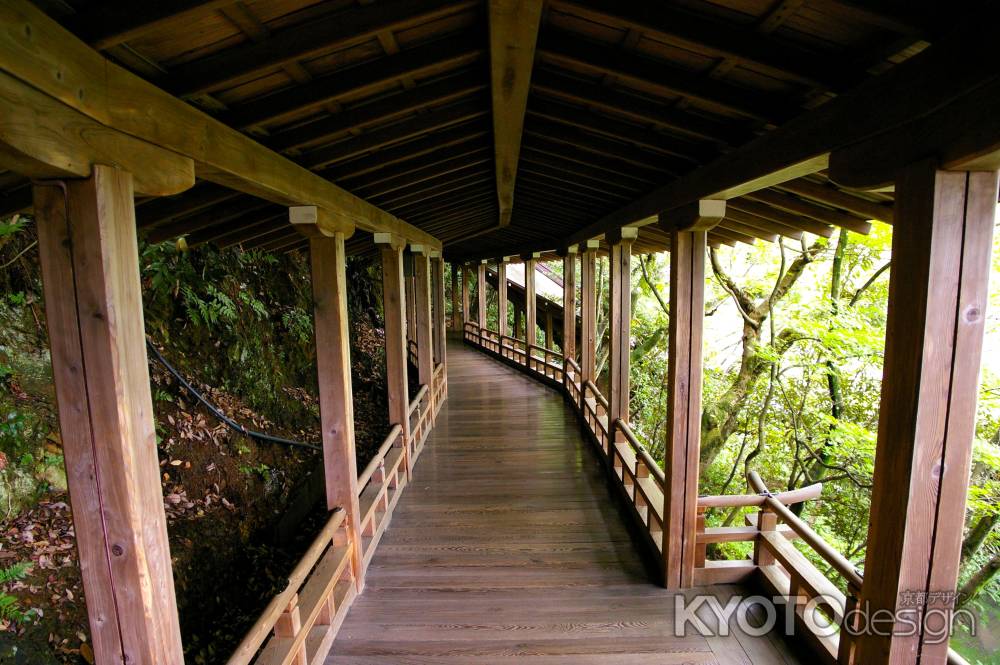 夏の永観堂の風景18