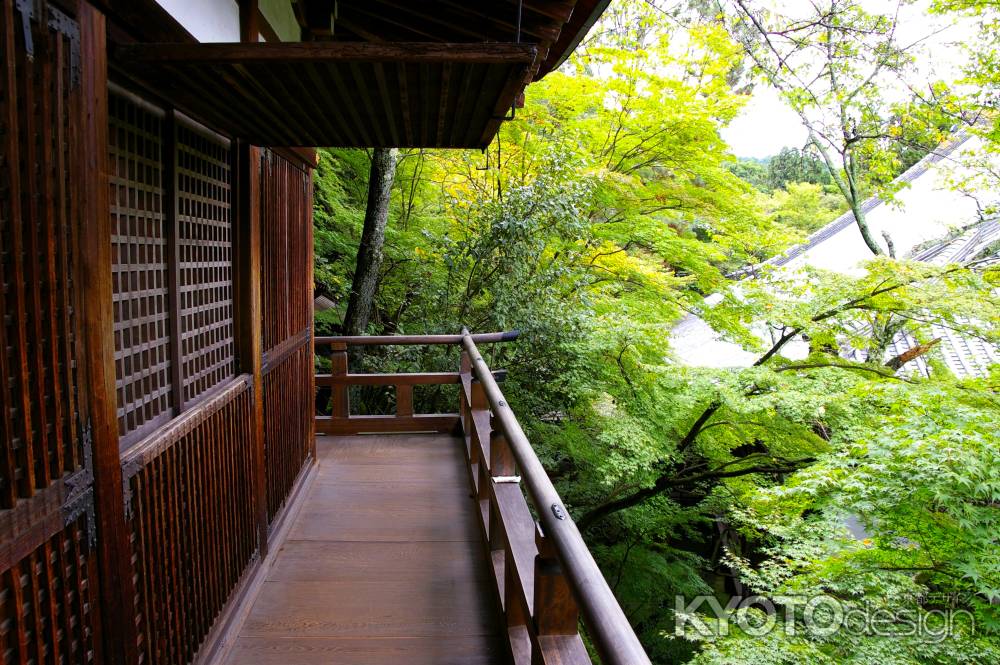 夏の永観堂の風景19