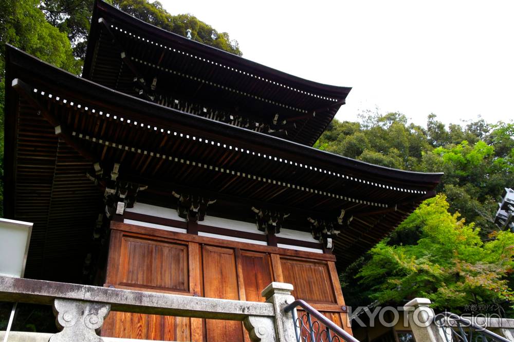 夏の永観堂の風景21