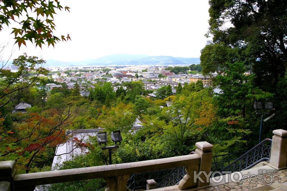 夏の永観堂の風景23