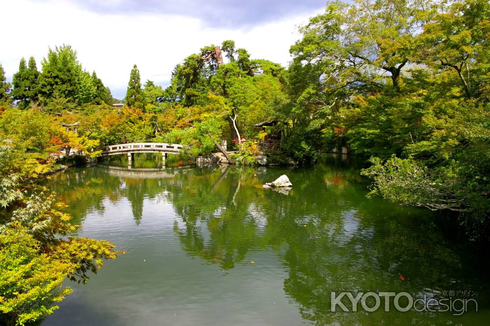 夏の永観堂の風景24