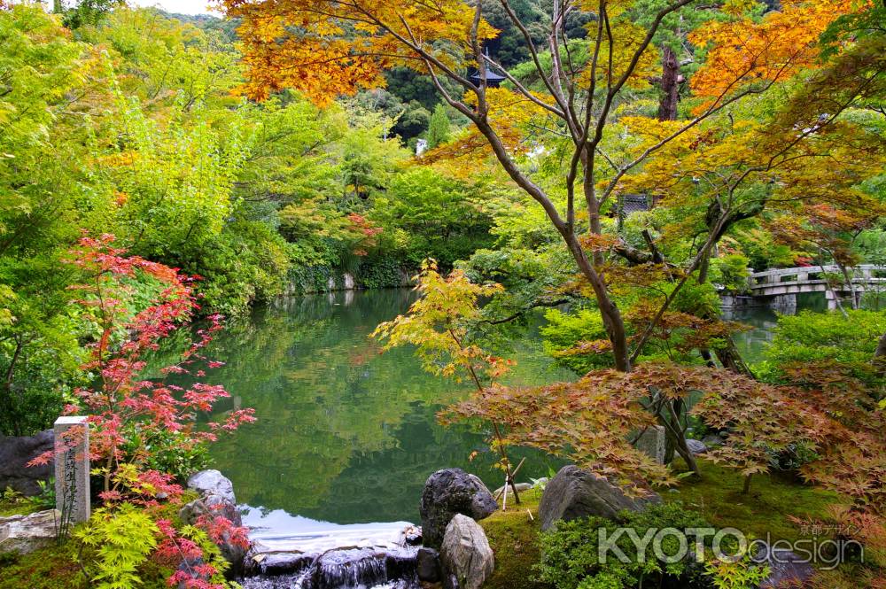 夏の永観堂の風景26