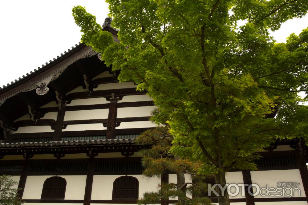 新緑の東福寺2